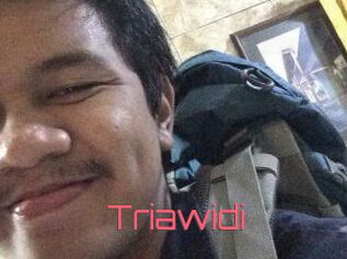 Triawidi