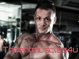 Tridentmuscles4u