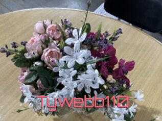 tywebb110 Webcam Sexe Direct