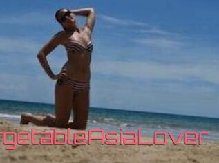 UnforgetableAsiaLover
