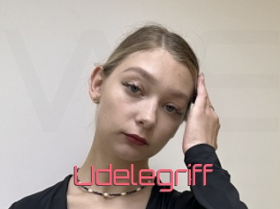 Udelegriff