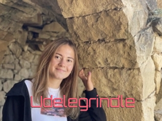 Udelegrindle