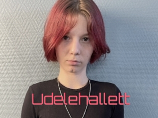 Udelehallett