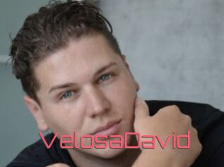 VelosaDavid