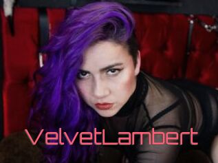 VelvetLambert