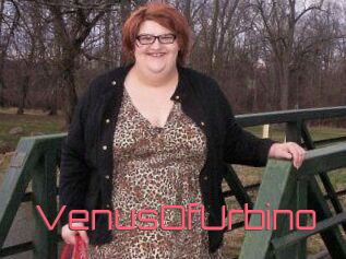 VenusOfUrbino