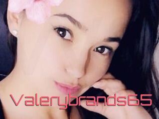Valerybrands65