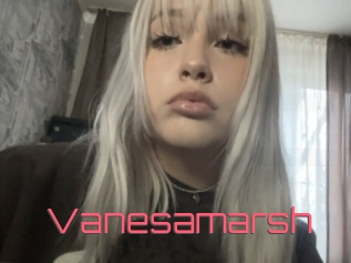 Vanesamarsh