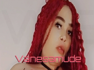 Vanesamude