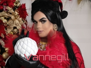 vannegill Webcam Sexe Direct