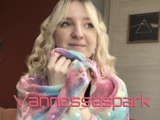 Vannessaspark