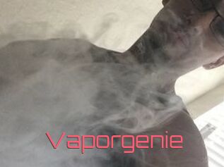 Vapor_genie