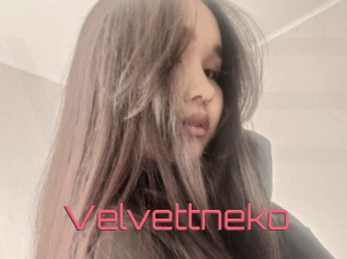 Velvettneko