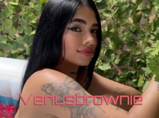 Venusbrownie