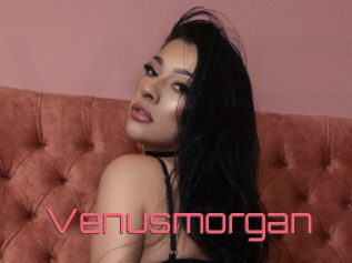 Venusmorgan