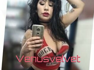 Venusvelvet