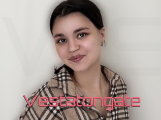 Vestatongate