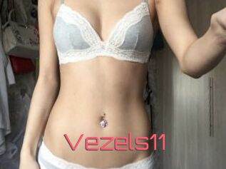 Vezels11
