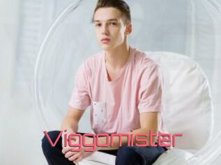 Viggomister