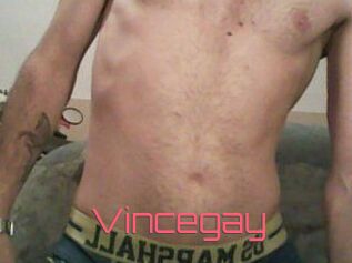 Vincegay