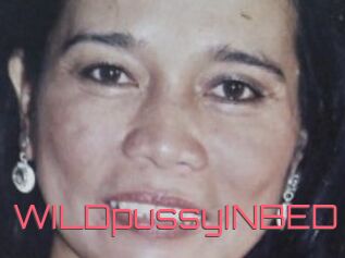 WILDpussyINBED