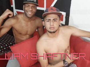 WILLY_HIT_AND_WILLIAM_SHAFTNER