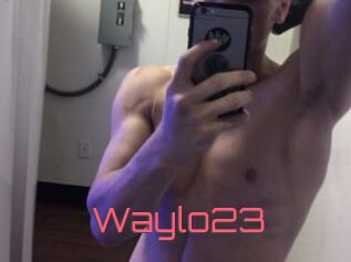 Waylo23
