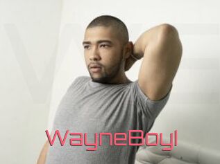 WayneBoyI