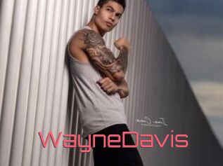 WayneDavis
