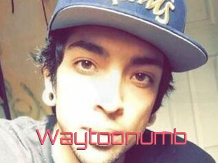 Waytoonumb