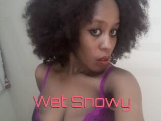 Wet_Snowy