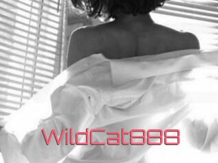 WildCat888