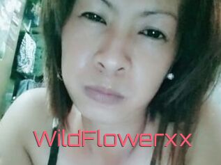 WildFlowerxx