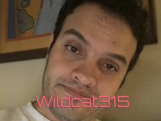 Wildcat315