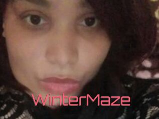 Winter_Maze