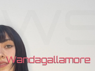 Wandagallamore