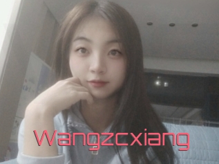 Wangzcxiang