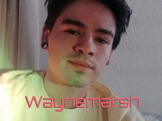 Waynemarsh