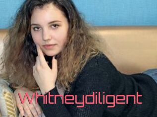 Whitneydiligent