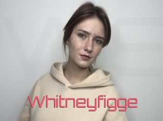 Whitneyfigge