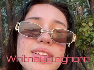 Whitneygleghorn
