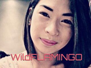 WildFLAMINGO