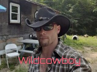 Wildcowboy
