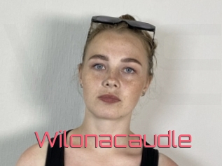 Wilonacaudle