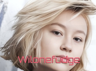 Wilonefudge