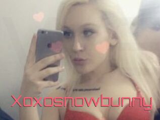 Xoxosnowbunny