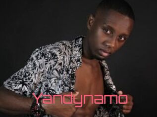 Yandynamo