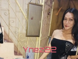 Ynez22