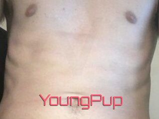 YoungPup