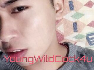 YoungWildCock4u
